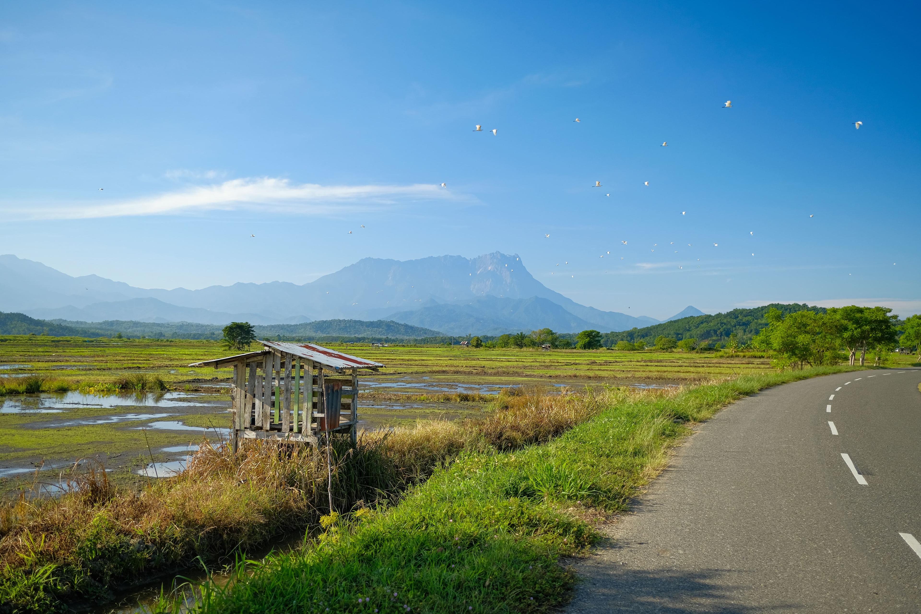 https://cdn.myjournify.com/assets/articles/1539137511AdobeStock_525577651 (1).jpeg